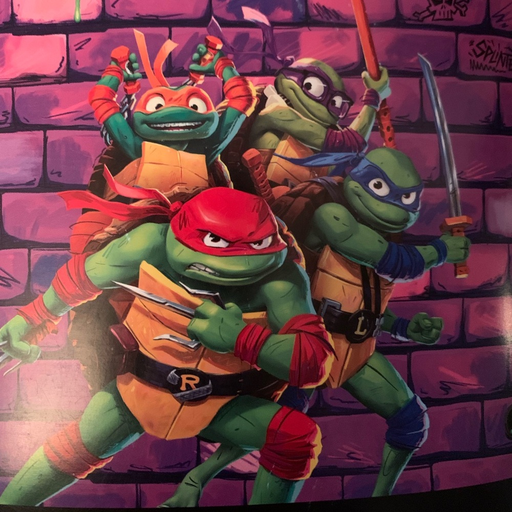 New Ninja Turtle Throw THROW 46 IN. X 60 IN. (116 CM X 152 CM)